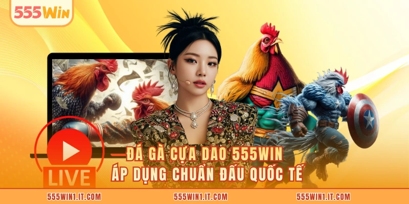 Đá gà cựa dao 555WIN áp dụng chuẩn đấu quốc tế