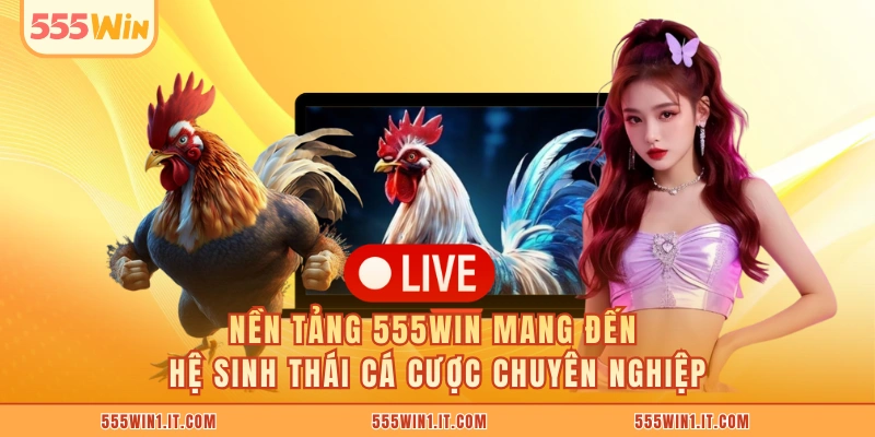 Nền tảng 555WIN mang đến hệ sinh thái cá cược chuyên nghiệp